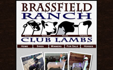 Brassfield Ranch Club Lambs