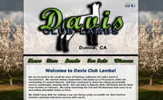 Davis Club Lambs