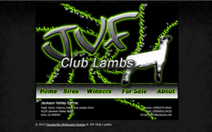 JVF Club Lambs