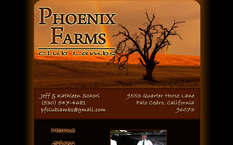 Phoenix Farms Club Lambs