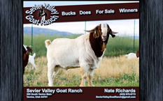 Siever Valley Goat Ranch